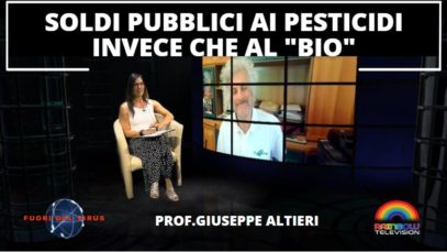 Immagine 2022-07-19 143216